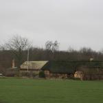 IMG_9355.JPG