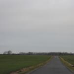 IMG_9357.JPG
