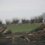 IMG_9369.JPG
