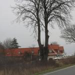 IMG_9389.JPG