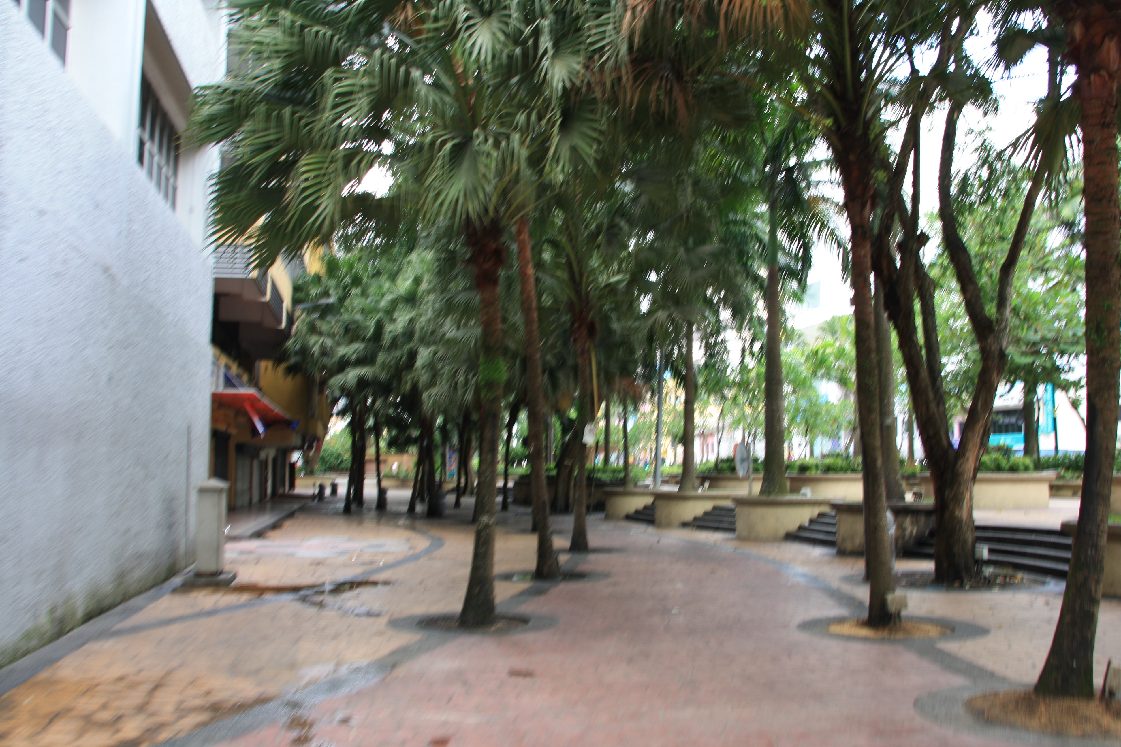 IMG_9634.JPG