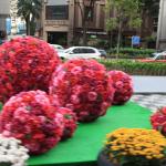 IMG_9474.JPG