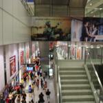 IMG_9492.JPG