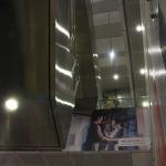 IMG_9494.JPG