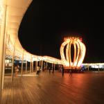 IMG_9503.JPG
