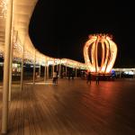 IMG_9504.JPG
