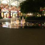 IMG_9522.JPG