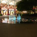 IMG_9523.JPG