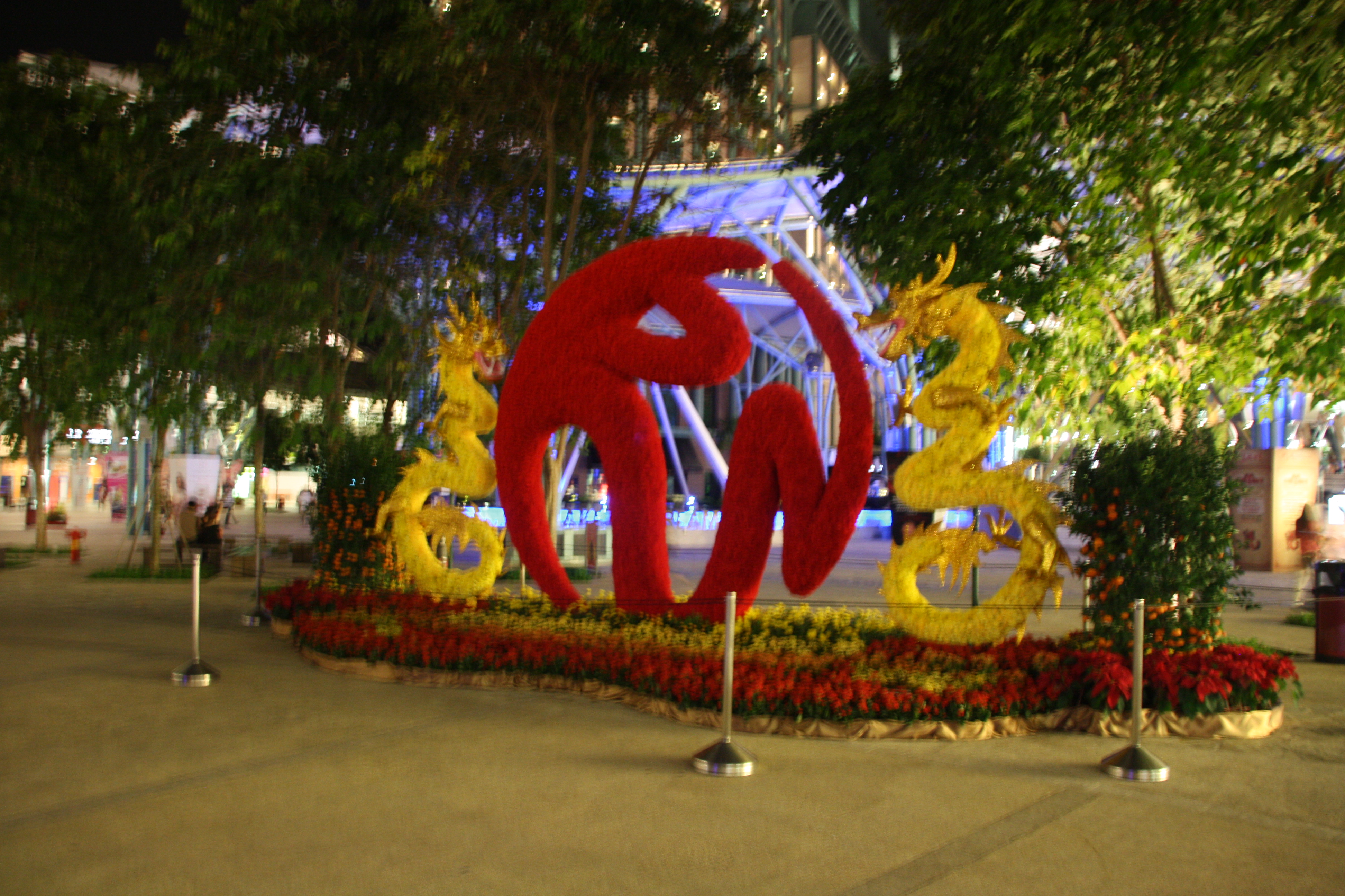 IMG_9537.JPG