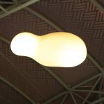 IMG_9538.JPG
