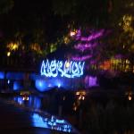 IMG_9553.JPG