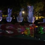 IMG_9557.JPG