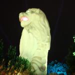 IMG_9562.JPG