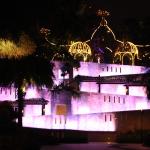 IMG_9569.JPG