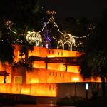 IMG_9571.JPG