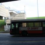 IMG_9584.JPG