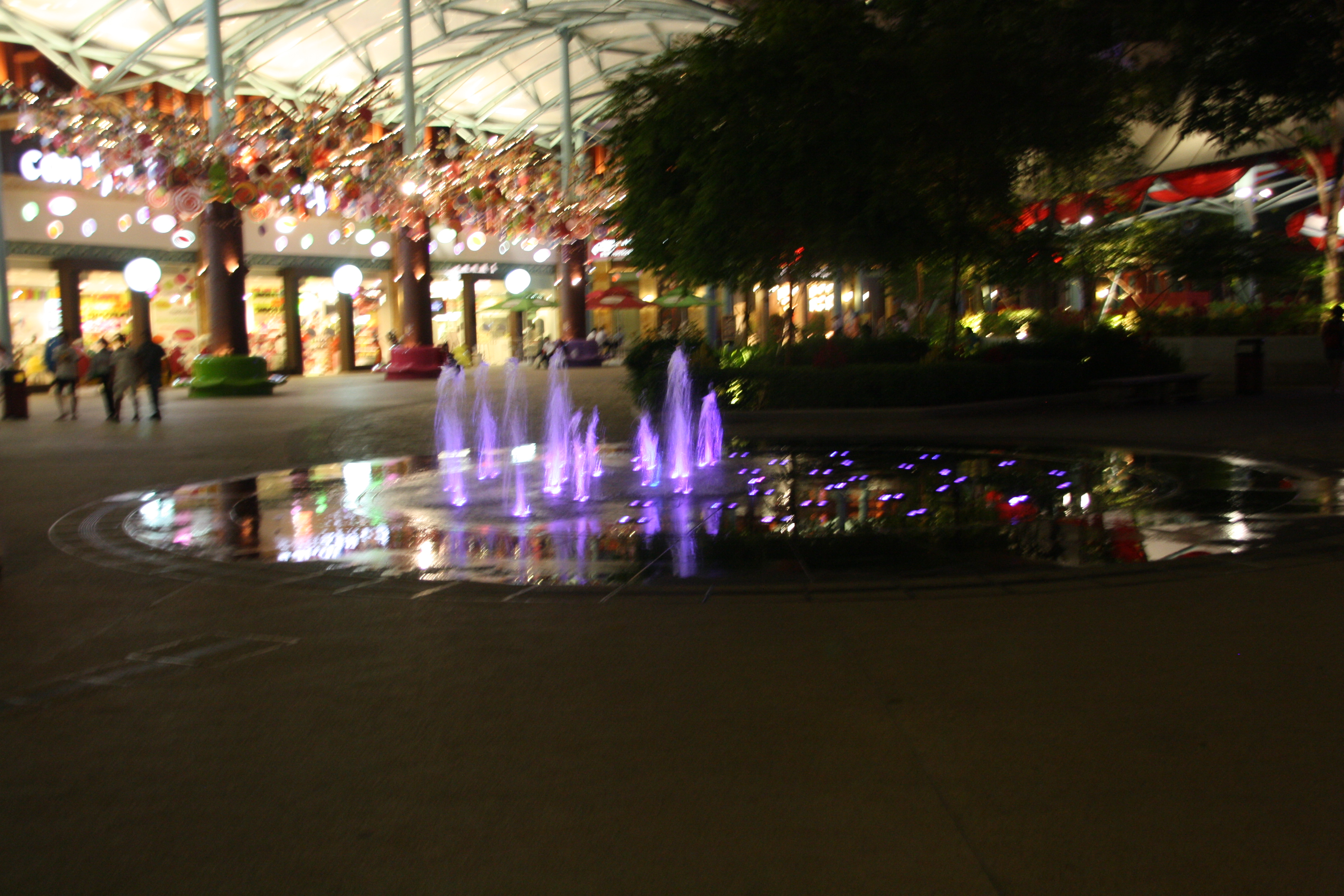 IMG_9524.JPG