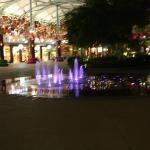 IMG_9524.JPG