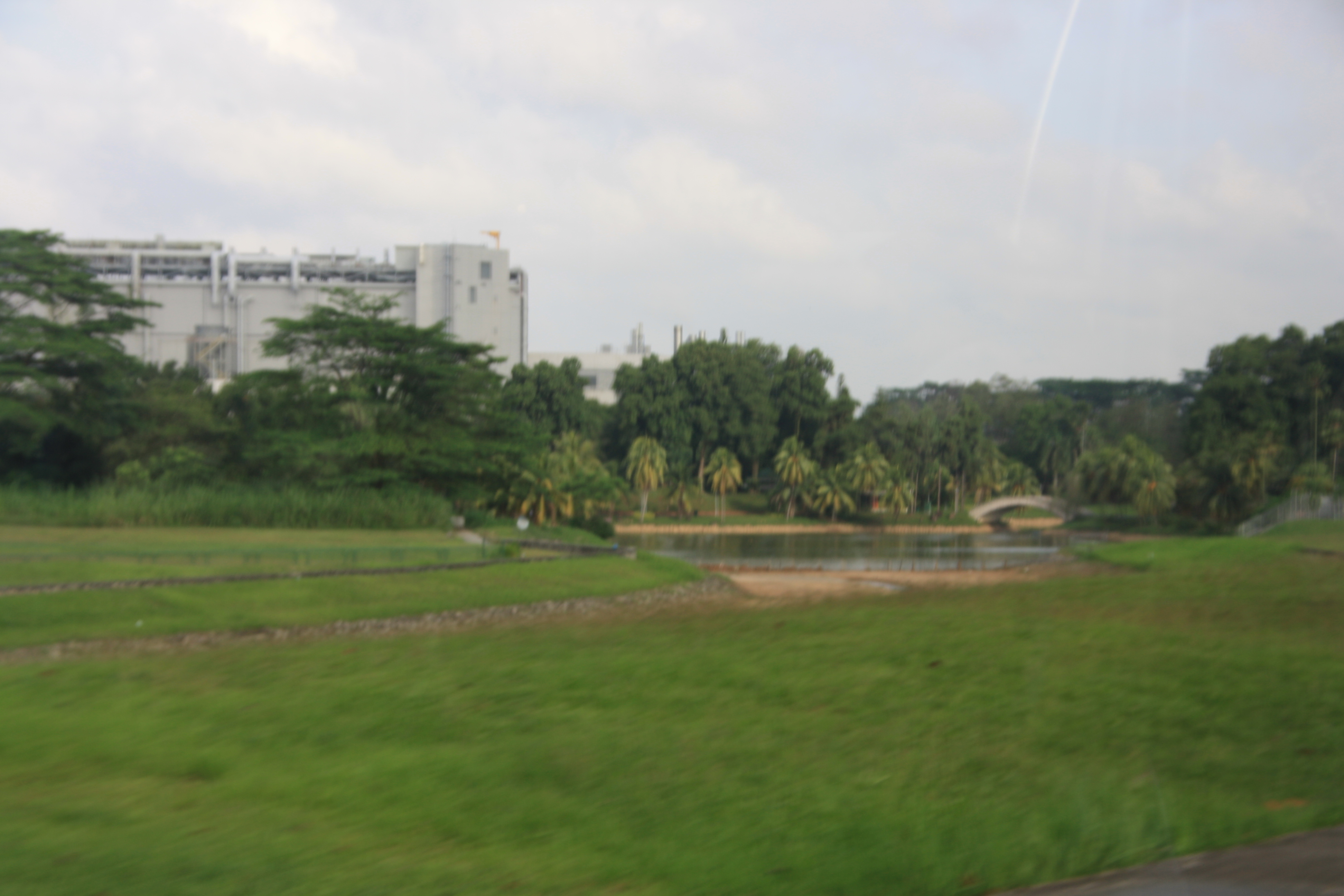 IMG_9595.JPG