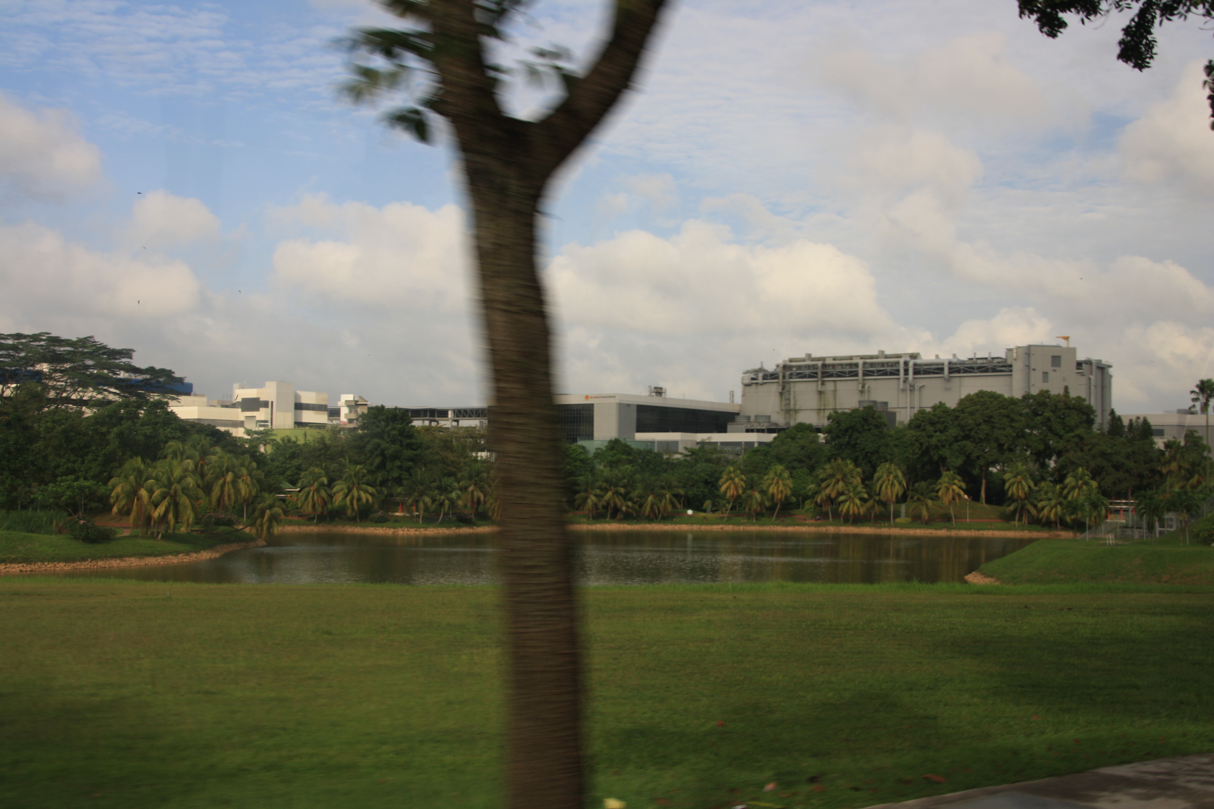 IMG_9597.JPG