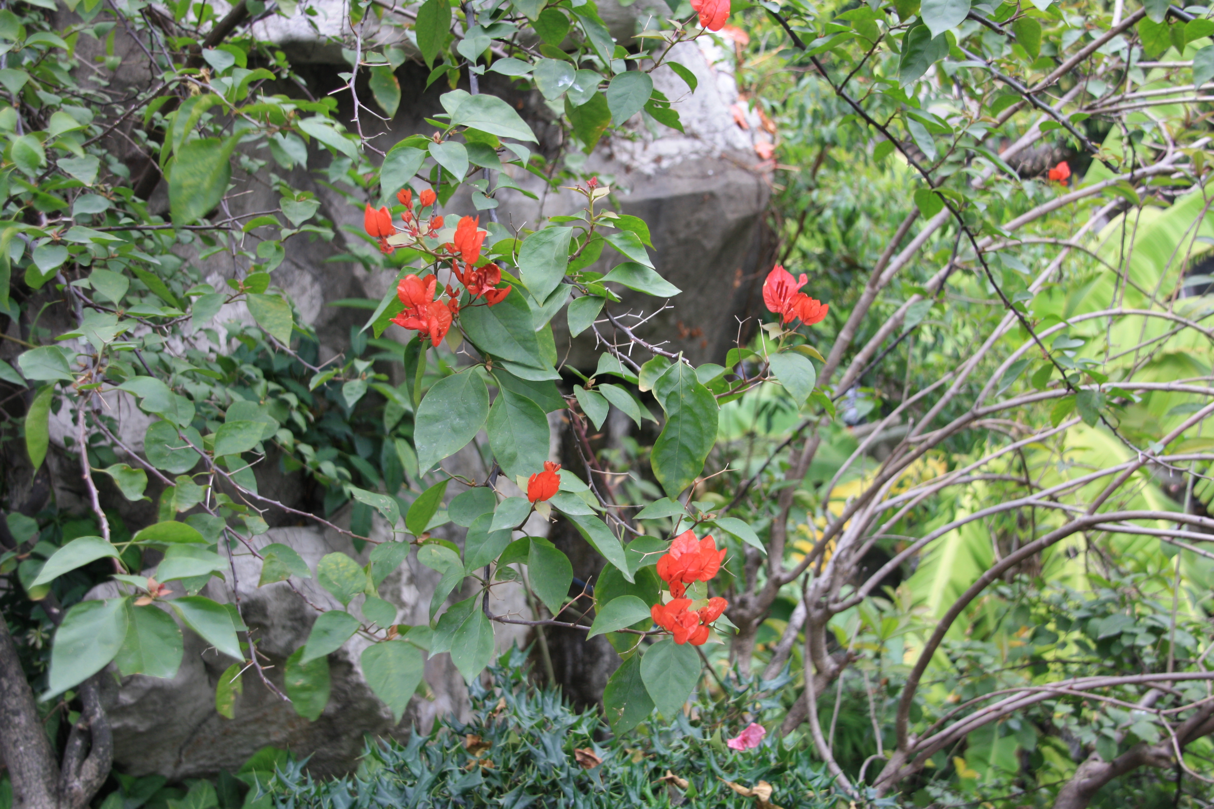 IMG_0340.JPG