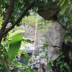 IMG_0342.JPG