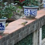 IMG_0377.JPG