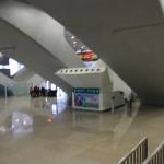 IMG_0445.JPG