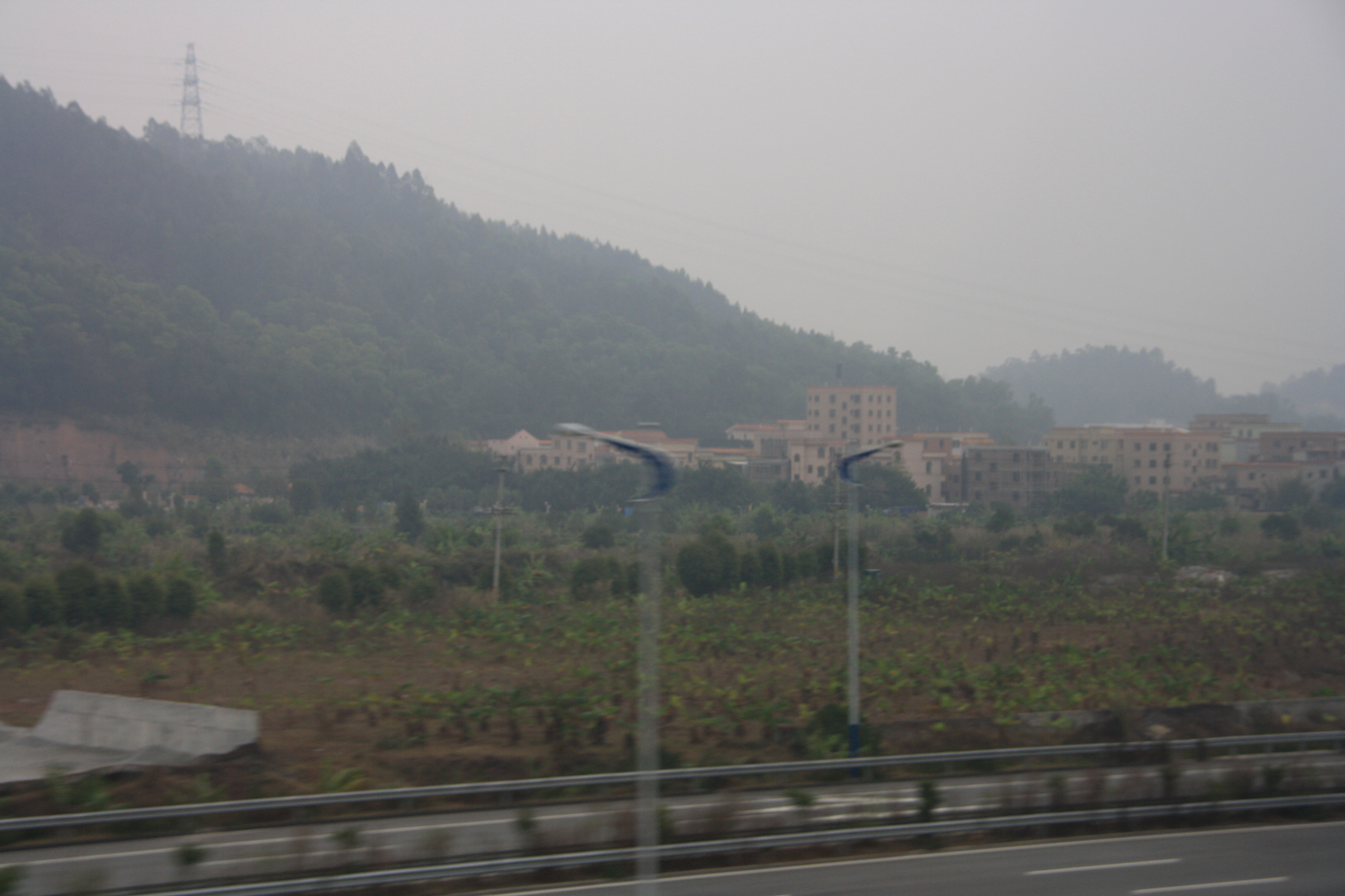 IMG_0480.JPG