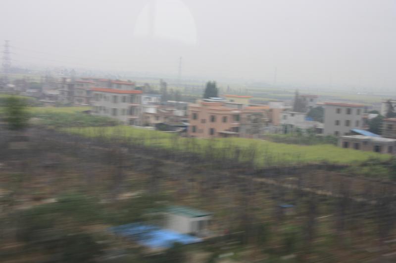 IMG_0485.JPG