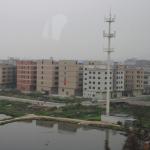 IMG_0493.JPG