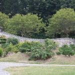 IMG_0735.JPG