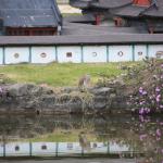 IMG_0767.JPG