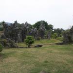 IMG_0816.JPG