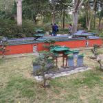 IMG_0819.JPG