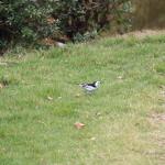 IMG_0830.JPG