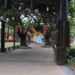 IMG_0853.JPG