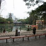 IMG_1006.JPG