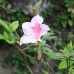 IMG_1084.JPG