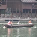 IMG_1151.JPG
