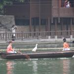 IMG_1152.JPG