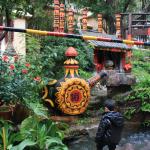 IMG_1299.JPG