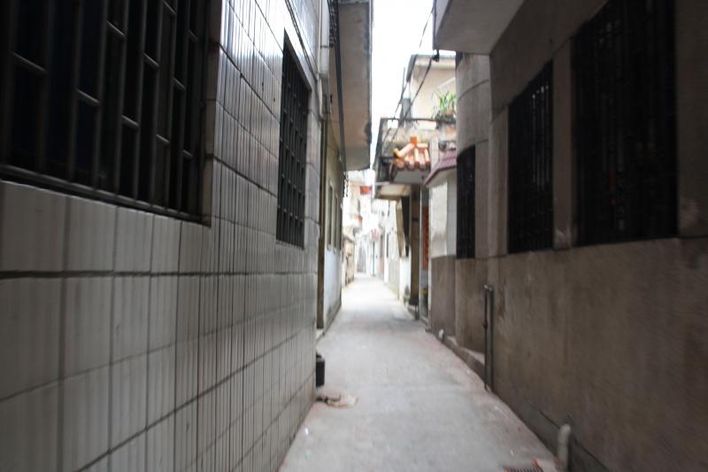 IMG_9930.JPG