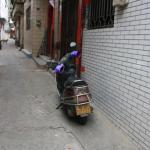 IMG_9934.JPG