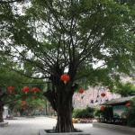 IMG_9950.JPG