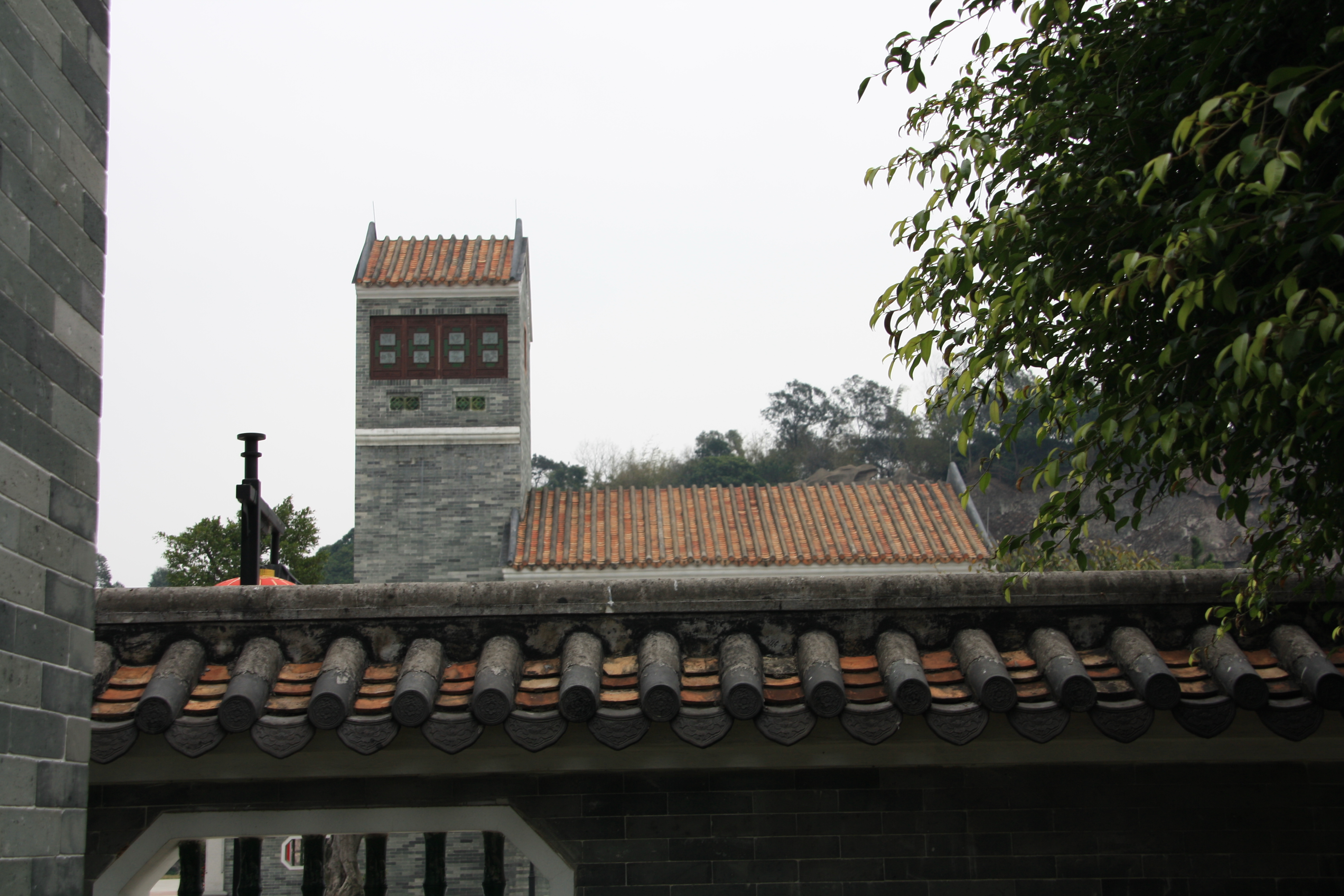 IMG_9960.JPG