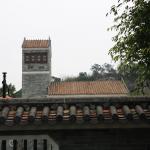 IMG_9960.JPG