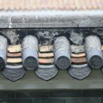IMG_9961.JPG