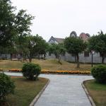 IMG_9981.JPG