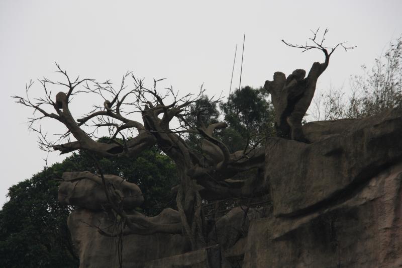 IMG_0147.JPG